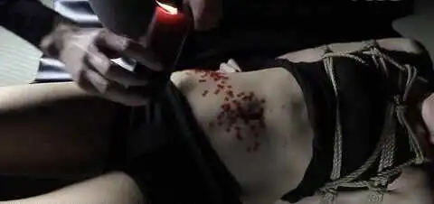 西檬之家-新人入圈：从入门到精通的BDSM术语指南