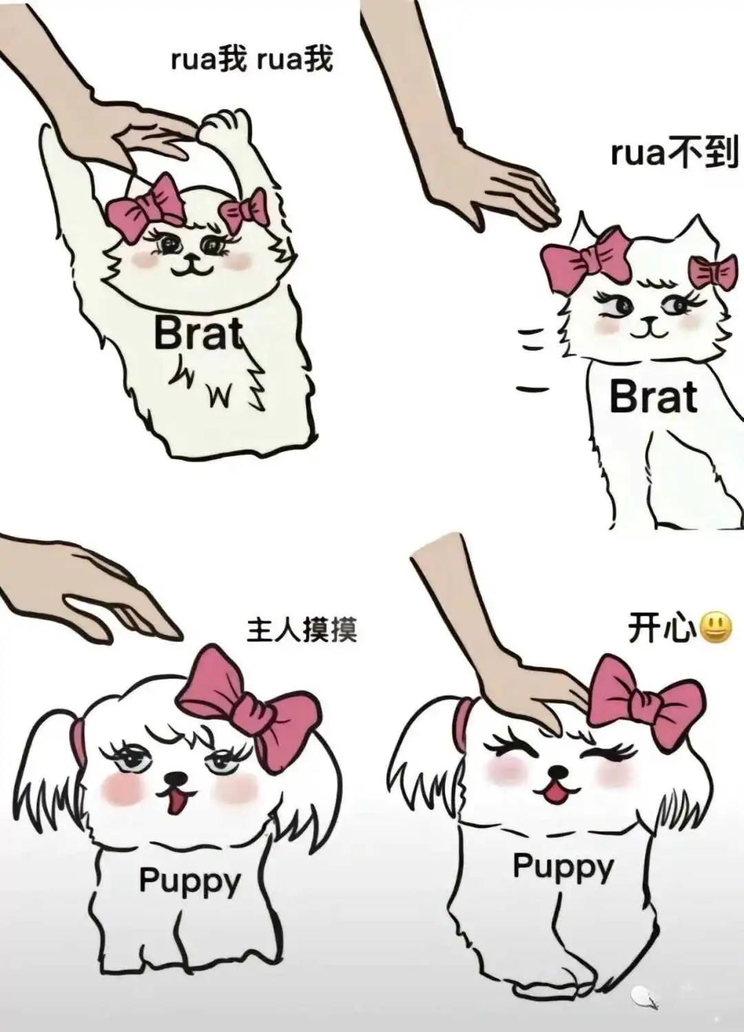 【西檬之家】字母圈新人指南：如何正确理解S倾向与BDSM基础