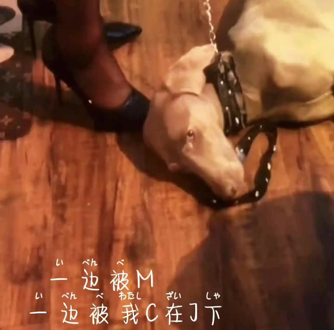 西檬之家-字母圈的S属性是什么？