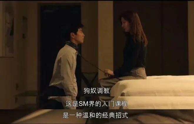 西檬之家-PE是什么？字母圈权力交换的权威指南