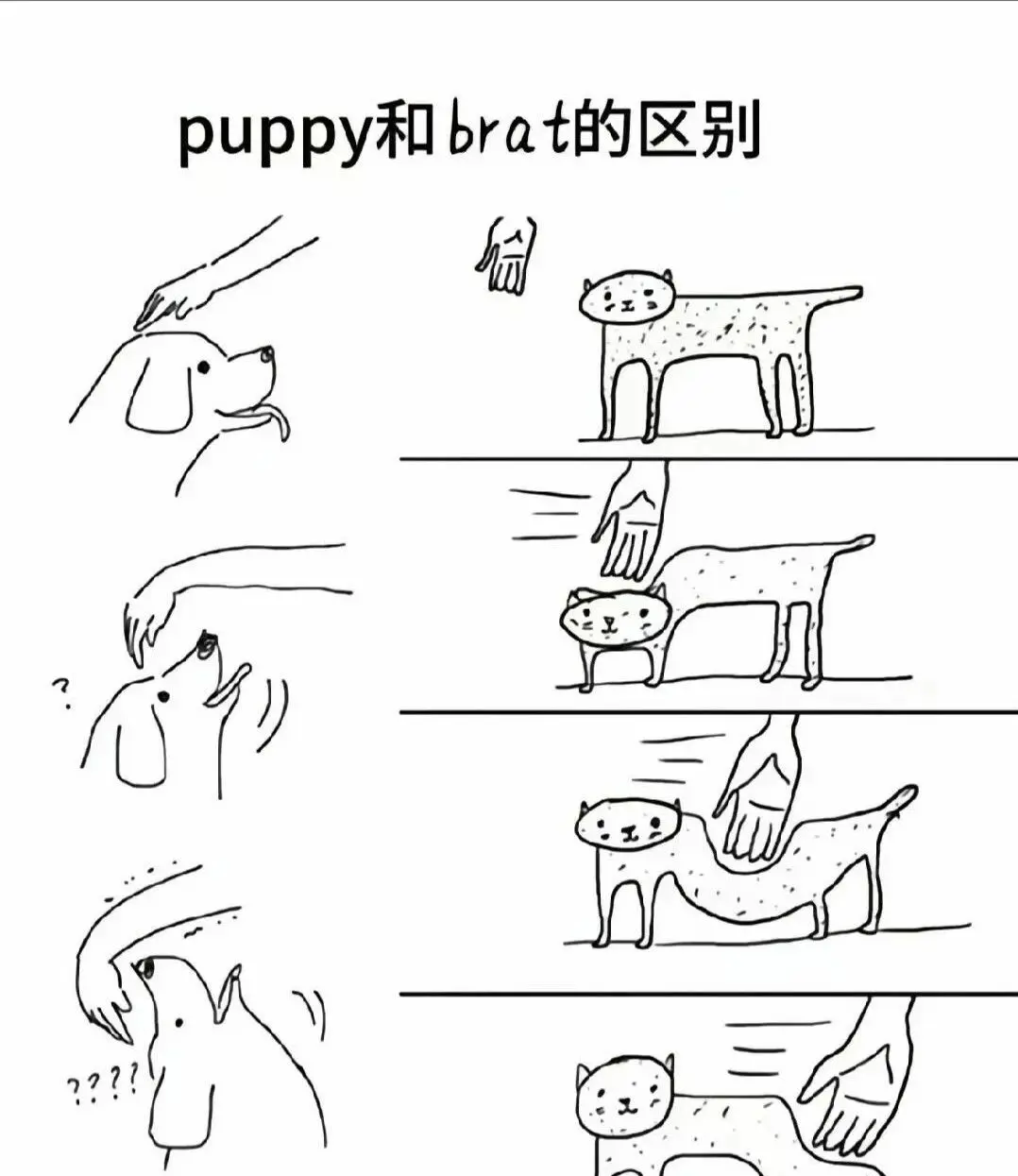西檬之家-Dirty Talk是什么？字母圈新人入圈指南