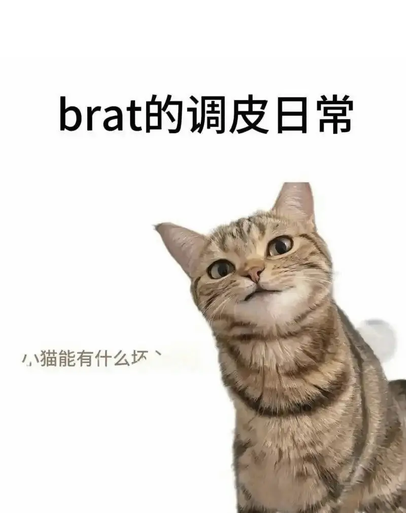 西檬之家-管教是什么？BDSM字母圈新人入圈指南