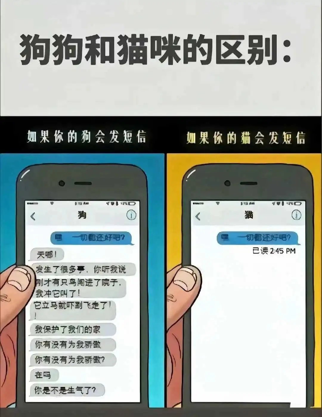 西檬之家-BDSM新人入圈权威指南：从术语到安全原则